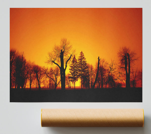 The Forest Aglow Giclee Print