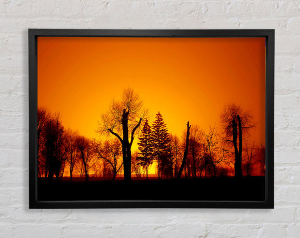 The Forest Aglow Framed Print