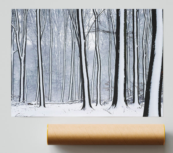 Forest Snow Trees Poster