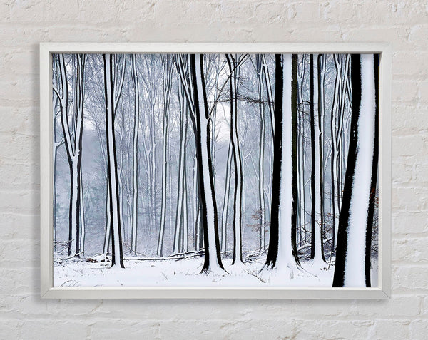 Forest Snow Trees Framed Print