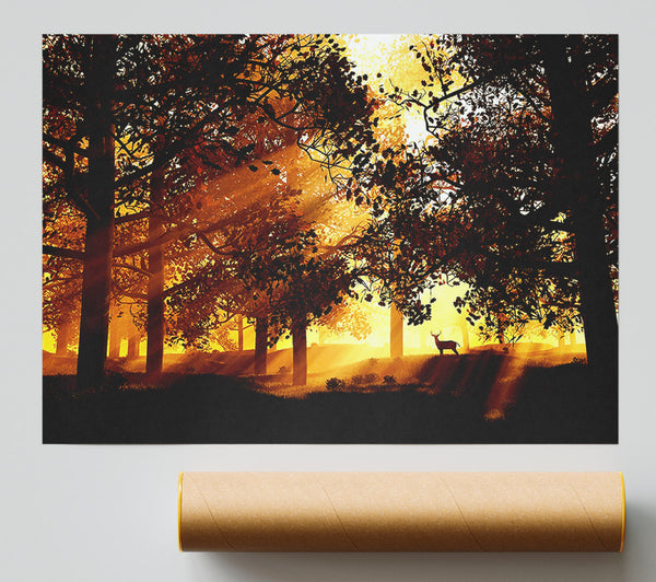 Sunrays Through The Deer Forest Print