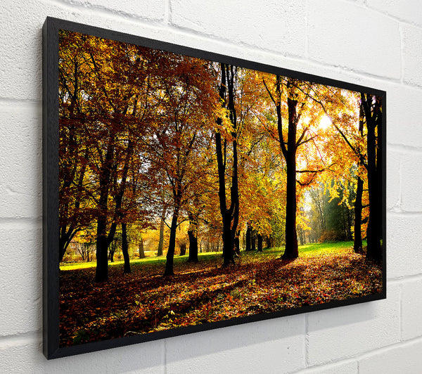 Autumn Season