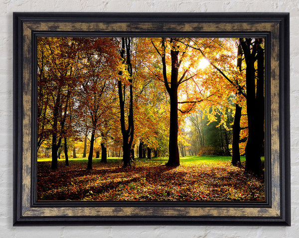 Autumn Season Framed Print