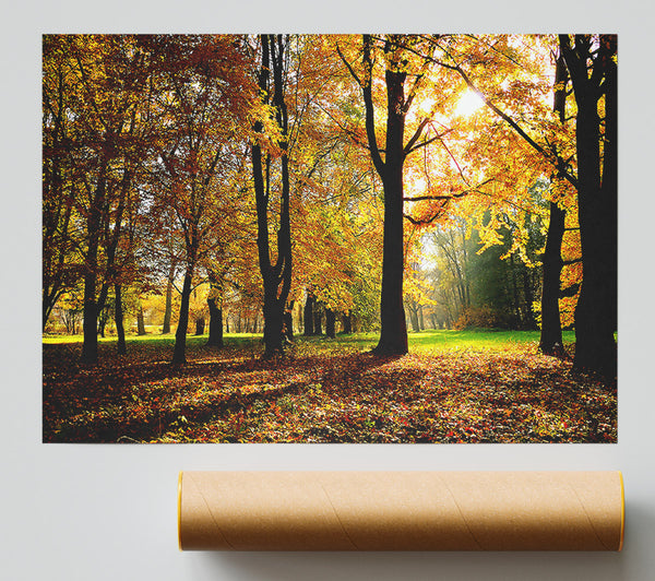 Autumn Season Giclee Print