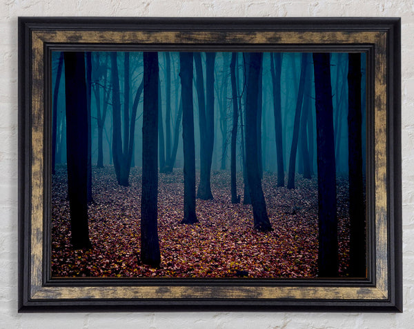 Dark Forest Mist Framed Print