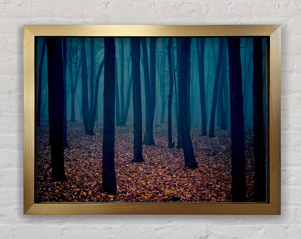 Dark Forest Mist Framed Print