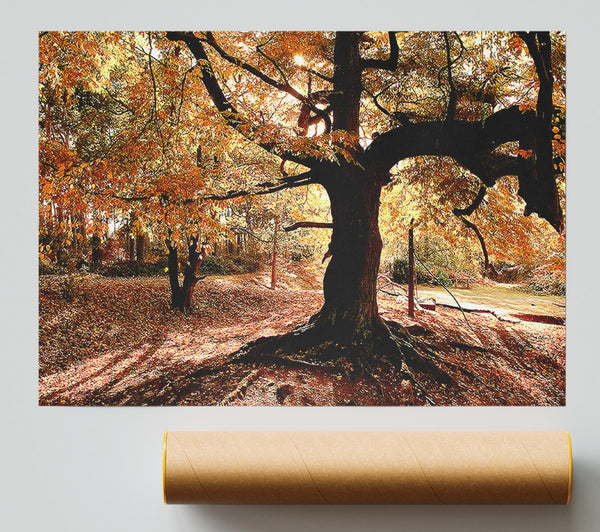 In The Depths Of The Old Forest Print