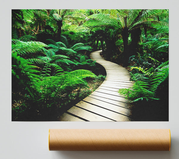 Rainforest Walk Print