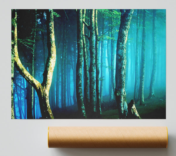 Midnight Blue Forest Print