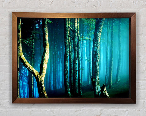 Midnight Blue Forest Framed Print