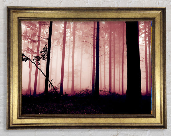 Mauve Forest Mist Framed Print