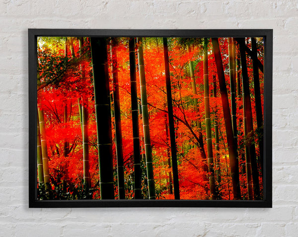 Red Autumn Forest Framed Print