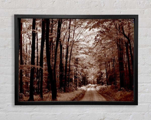 The Brown Forest Road Framed Print