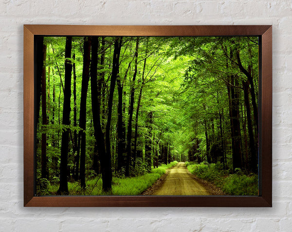 Green Tree Road Framed Print