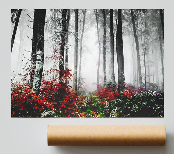 Forest Mist Morning Print