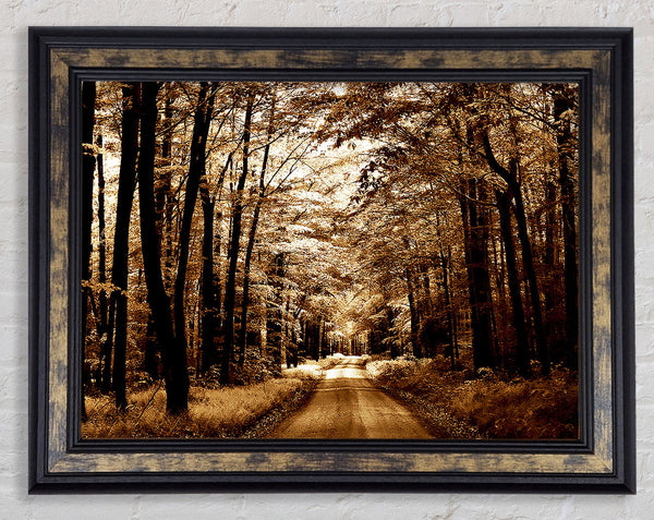 Hidden Chocolate Forest Road Framed Print