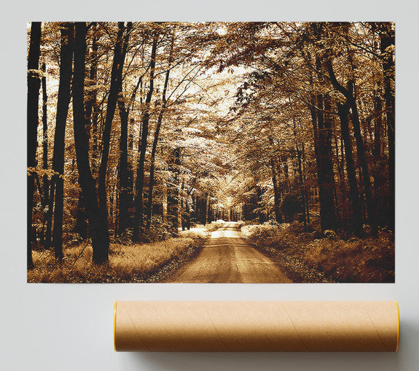 Hidden Chocolate Forest Road Poster