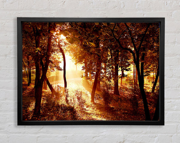 Ochre Forest Framed Print
