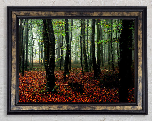 Emerald Forest Hide Away Framed Print
