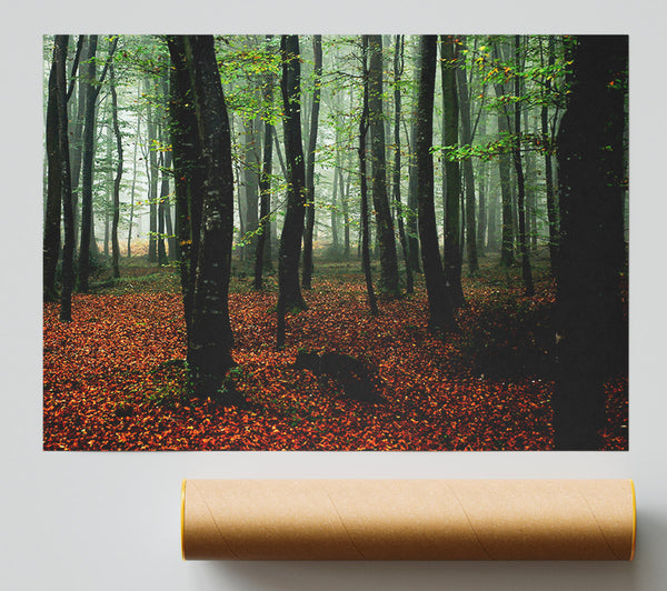 Emerald Forest Hide Away Poster