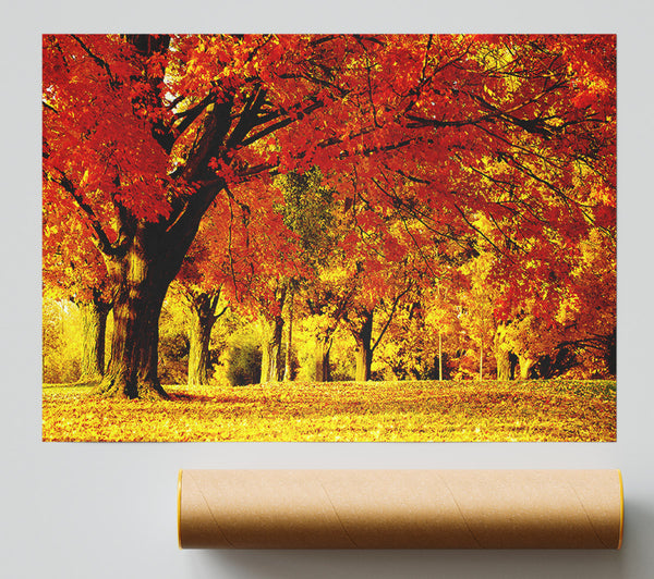 Golden Woodland Walk Giclee Print