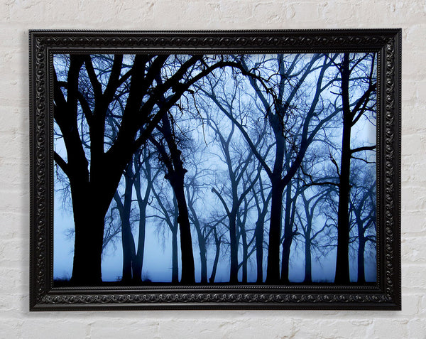 Blue Night Forest Framed Print