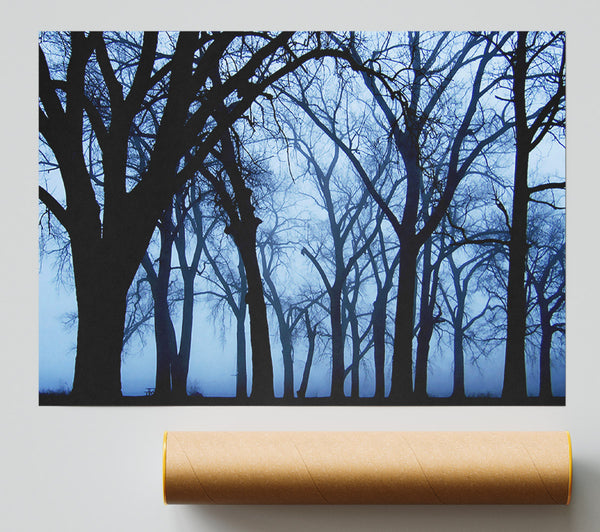 Blue Night Forest Giclee Print