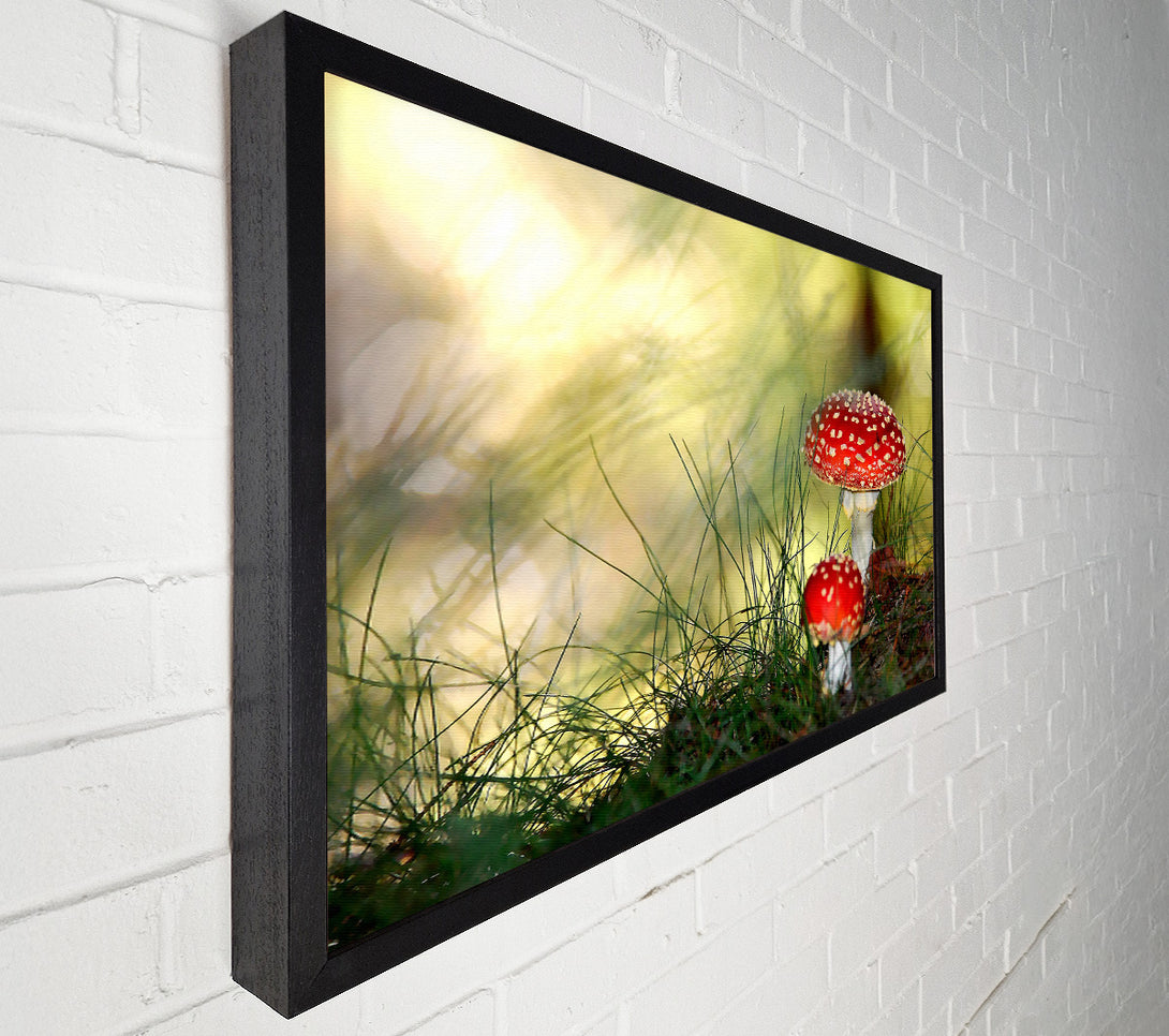  A Canvas Print of Fly Agaric Mushrooms Canvas Wall Art