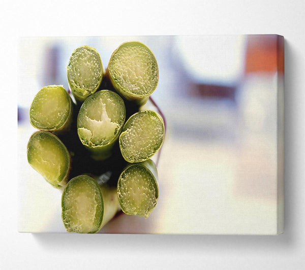  A Canvas Print of Asparagus Ends Canvas Print