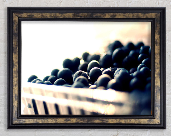 Wild Berries Framed Print