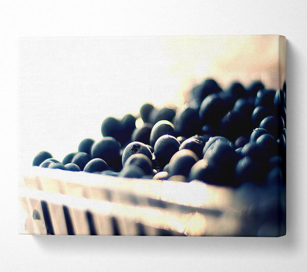  A Canvas Print of Wild Berries Canvas Art