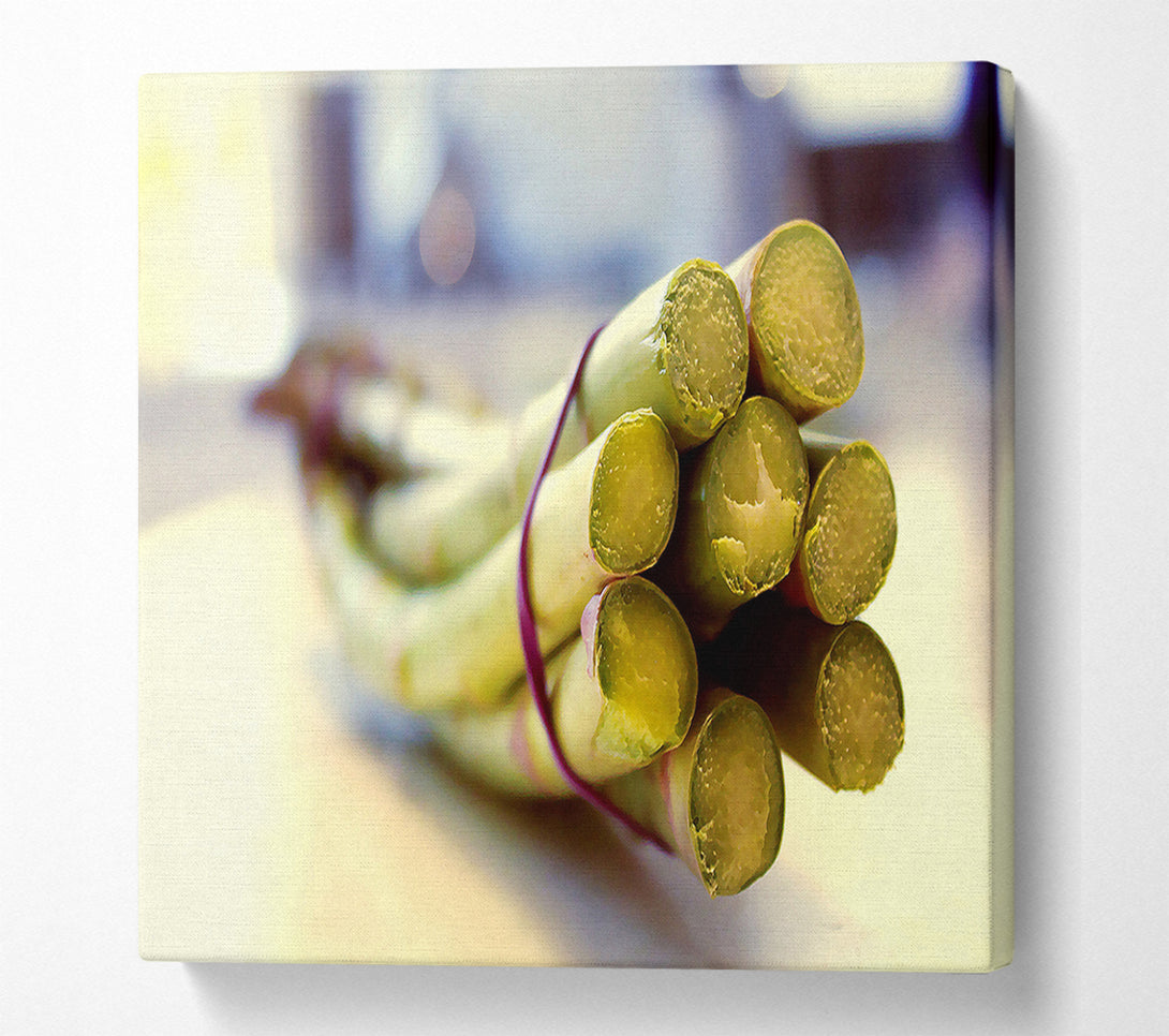  A Canvas Print of Asparagus 2 Canvas Print