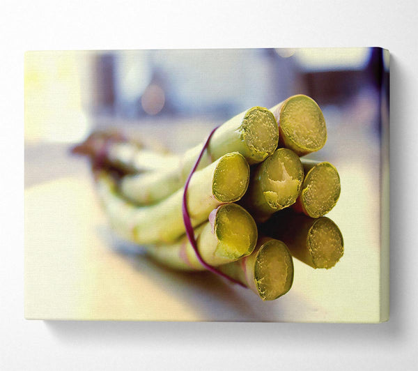  A Canvas Print of Asparagus 2 Canvas Print