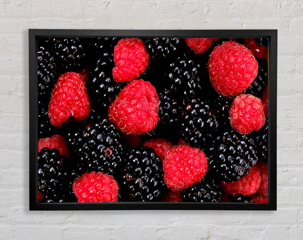 Raspberries n Blackberries Framed Print