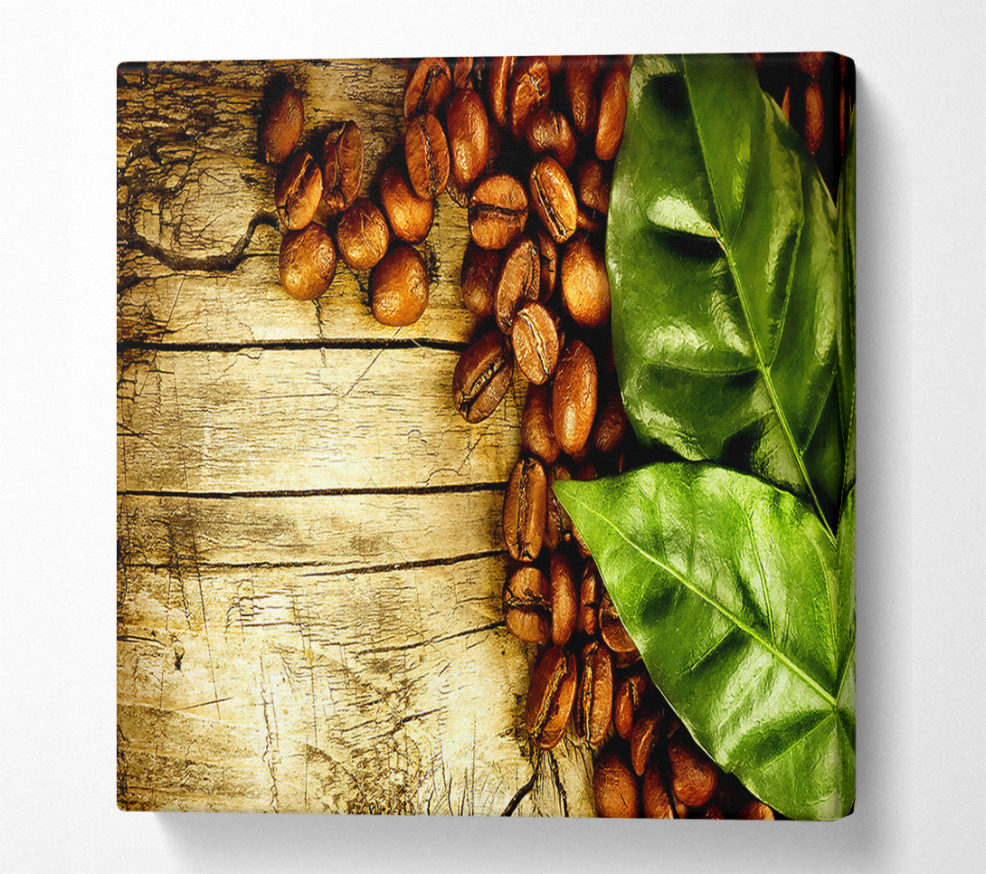  A Canvas Print of Coffee Beans And Leaves Canvas Art