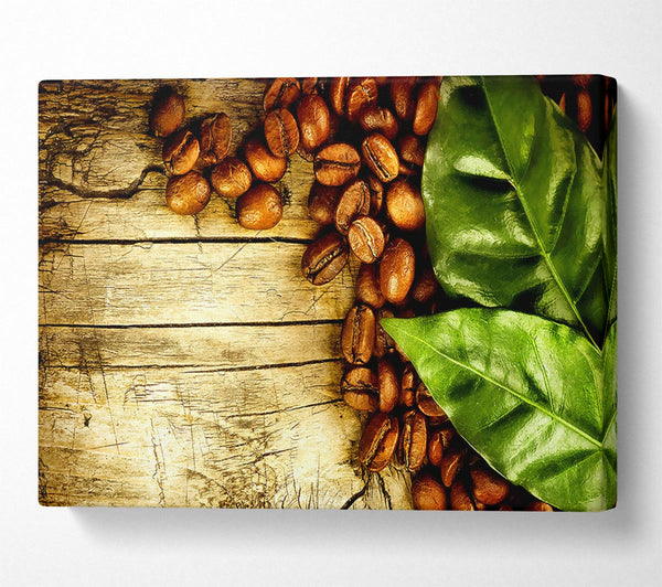  A Canvas Print of Coffee Beans And Leaves Canvas Art