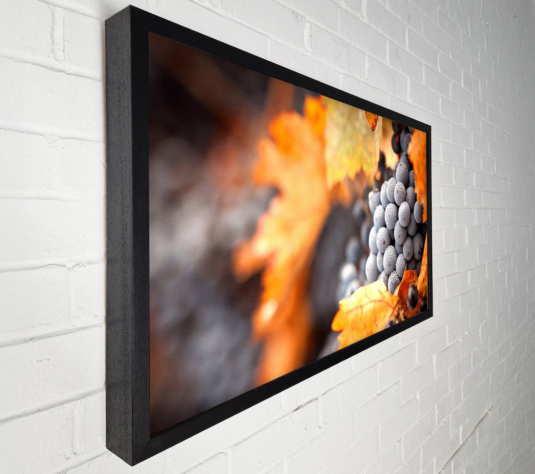  A Canvas Print of Grapes Canvas Print