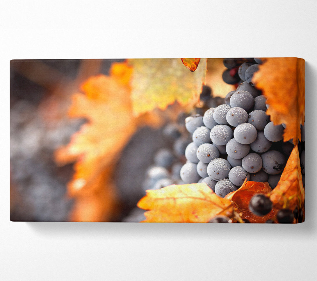  A Canvas Print of Grapes Canvas Print