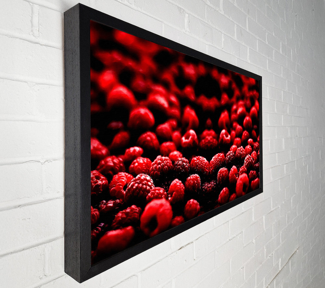  A Canvas Print of Raspberry Galour Canvas Wall Art
