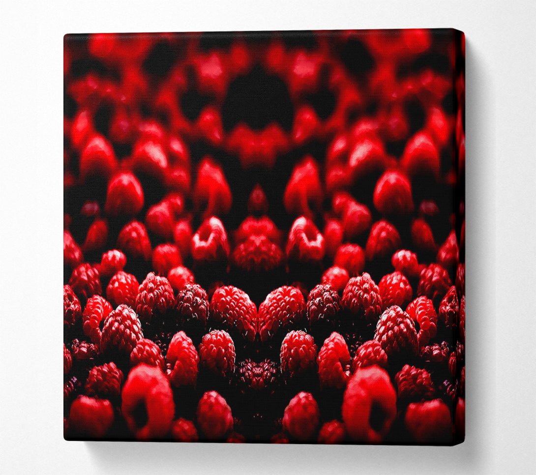  A Canvas Print of Raspberry Galour Canvas Wall Art