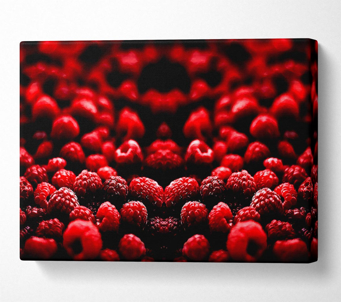  A Canvas Print of Raspberry Galour Canvas Wall Art