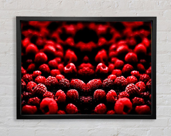 Raspberry Galour Framed Print