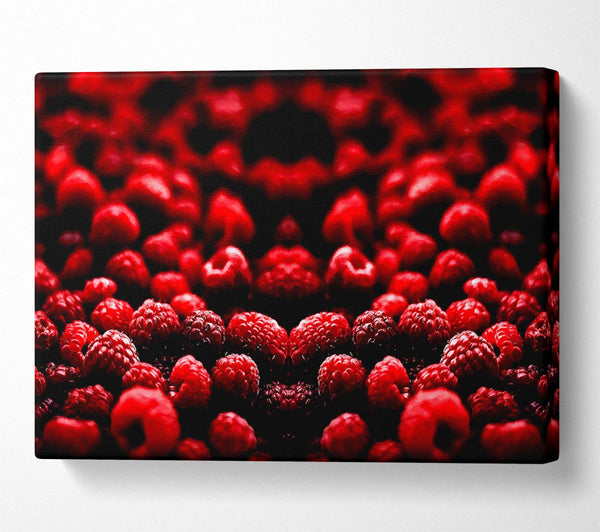  A Canvas Print of Raspberry Galour Canvas Wall Art