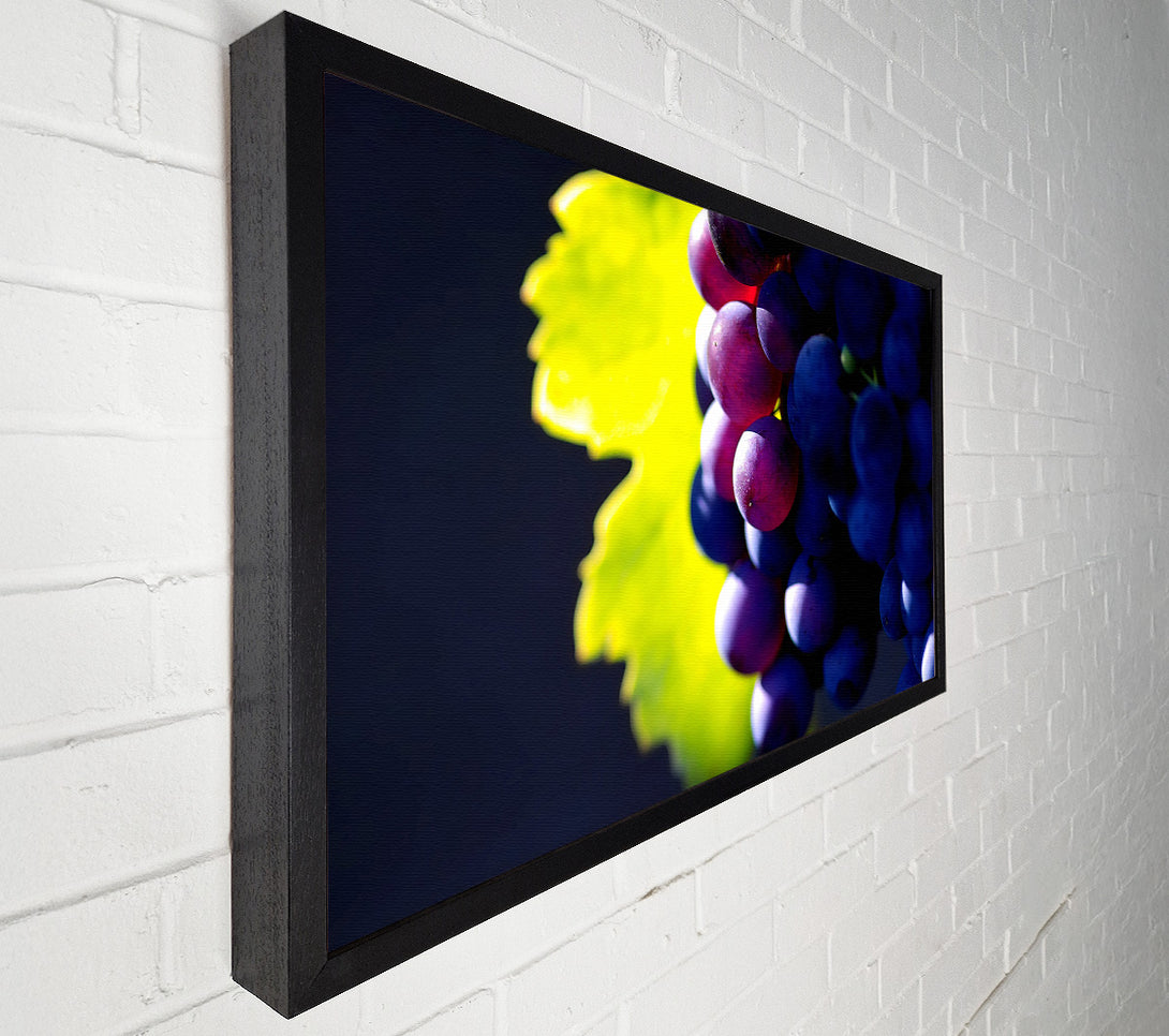  A Canvas Print of Black Grapes Canvas Print