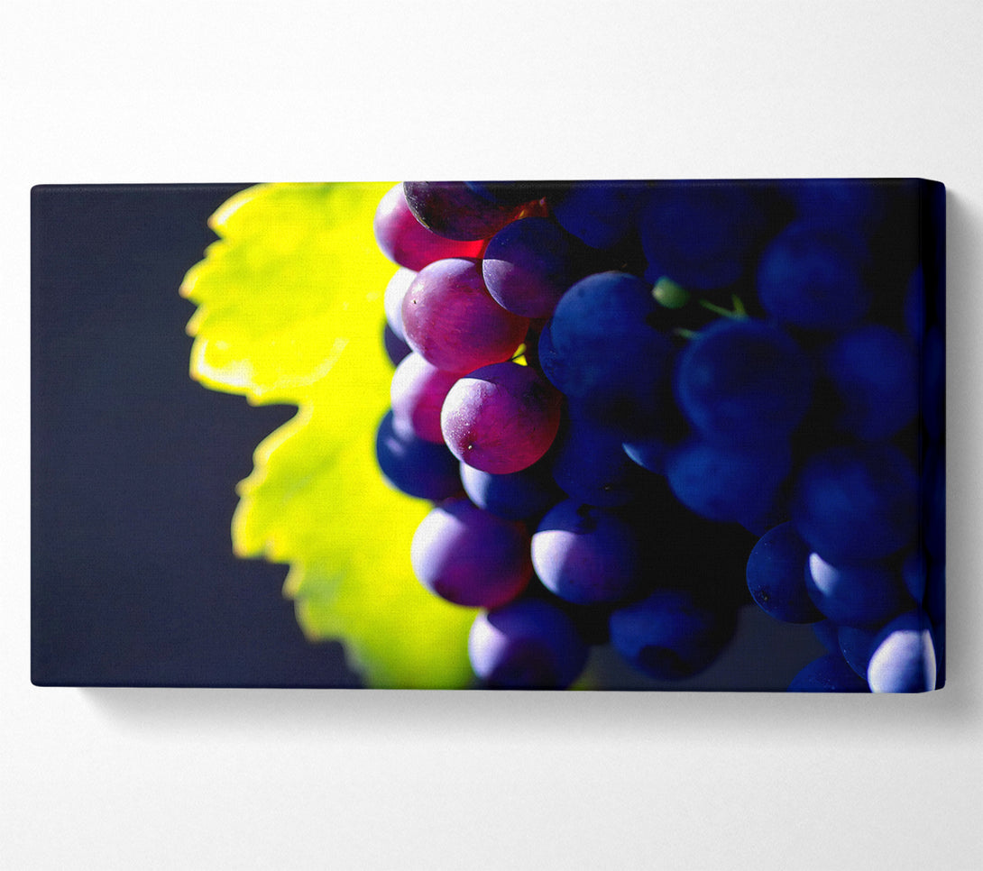  A Canvas Print of Black Grapes Canvas Print