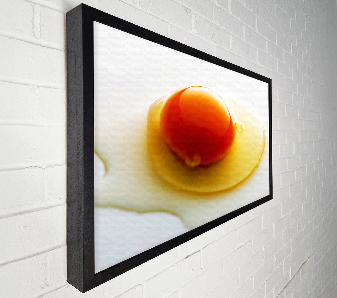  A Canvas Print of Single Egg Canvas Art