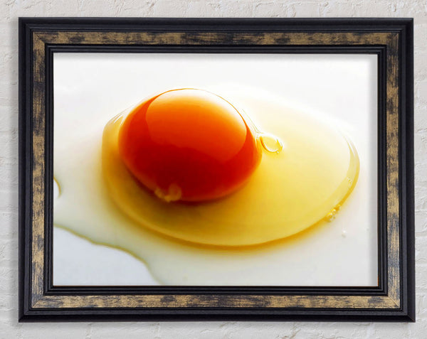 Single Egg Framed Print