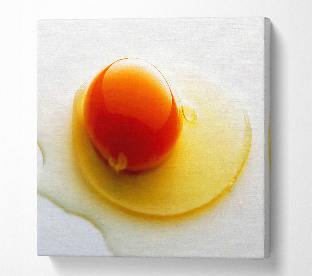  A Canvas Print of Single Egg Canvas Art