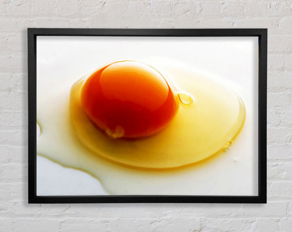 Single Egg Framed Print