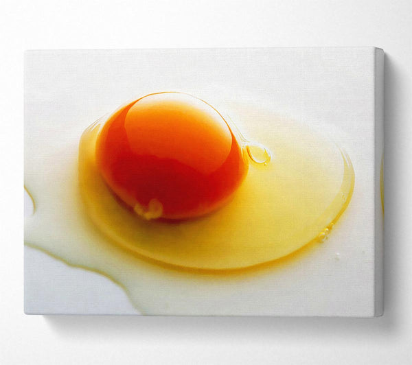  A Canvas Print of Single Egg Canvas Art